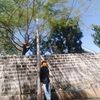 user109406087phyolay