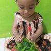 windaandikarenaca