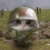 vei__