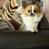 nanyheaven