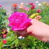 user62094445