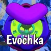 evochka_bs_