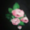 user596159199