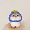 kimhyeahh