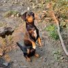 oleg_3322