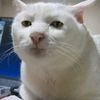 user4bynxfwpno