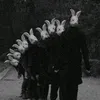anonimo777777771