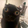 lakakaloreoupy