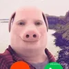 pebbletherock69