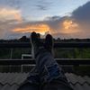 el_ale033