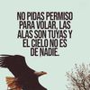 joanahernandez013