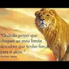 odetesouza49