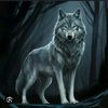 nightwolf2829