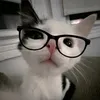 j_ayem
