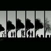 vd_011118