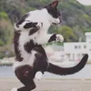elizasoares61