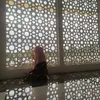 tynaa2965