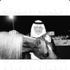 user316016115