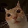 jorrith_jsn