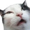 victostreams