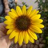 maria_03298