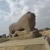 abumoamalahmad