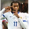 salim_d7