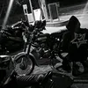 .black..wolf_