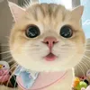 thuuhuong_7_6_29
