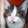 lesauvagegrrr