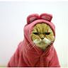 misskd_