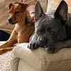 gitsnshiggles69