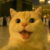 usernameff165