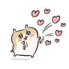 shunsuke.no1