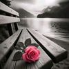 user921391898