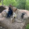 arizonafurbabyrescue