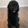 bruce.the.dood