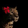 kholoud__6151