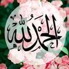 bajiaamelll