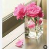 ashwagabdullah2