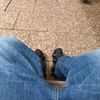 pixous82