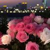 memosl_5