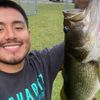 thebassboss1
