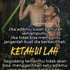 rheina226