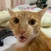 _eubob 😾