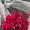 najla8894