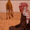 mazen22578