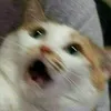 anhdepzaivkl