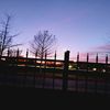 justaboxoffruitloops