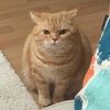 suwannsan